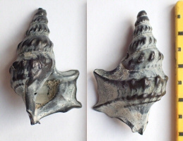 &copy; Thijs de Boer