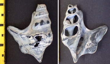 &copy;  Thijs de Boer