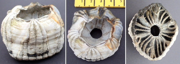 &copy;  Thijs de Boer